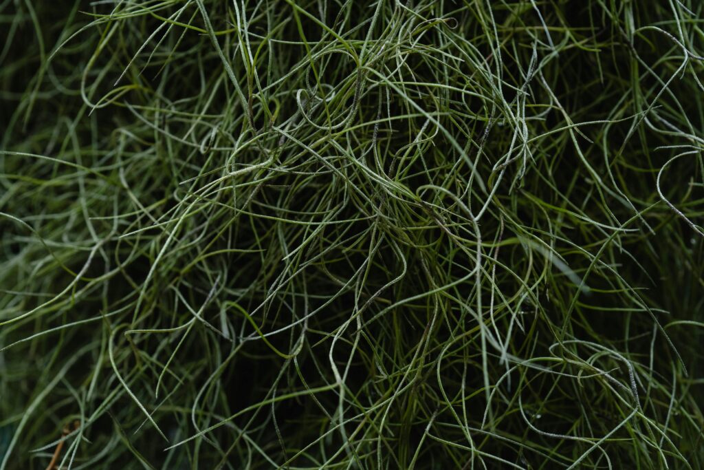Magnesy neodymowe – niezwykła siła, wszechstronne zastosowania i pasja poszukiwań